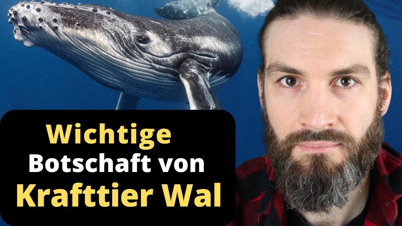 Es bahnt sich etwas an! (sehr wichtiges Video)