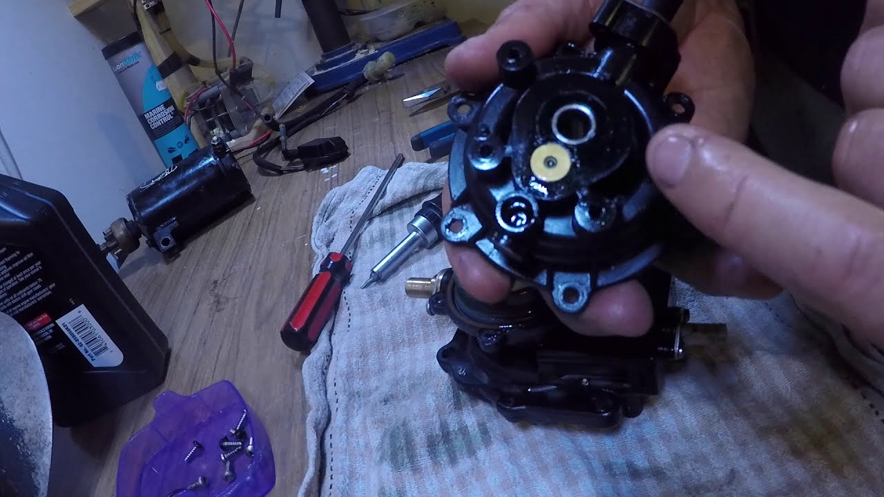 Johnson VRO Pump  0.1 Teardown and Inspection