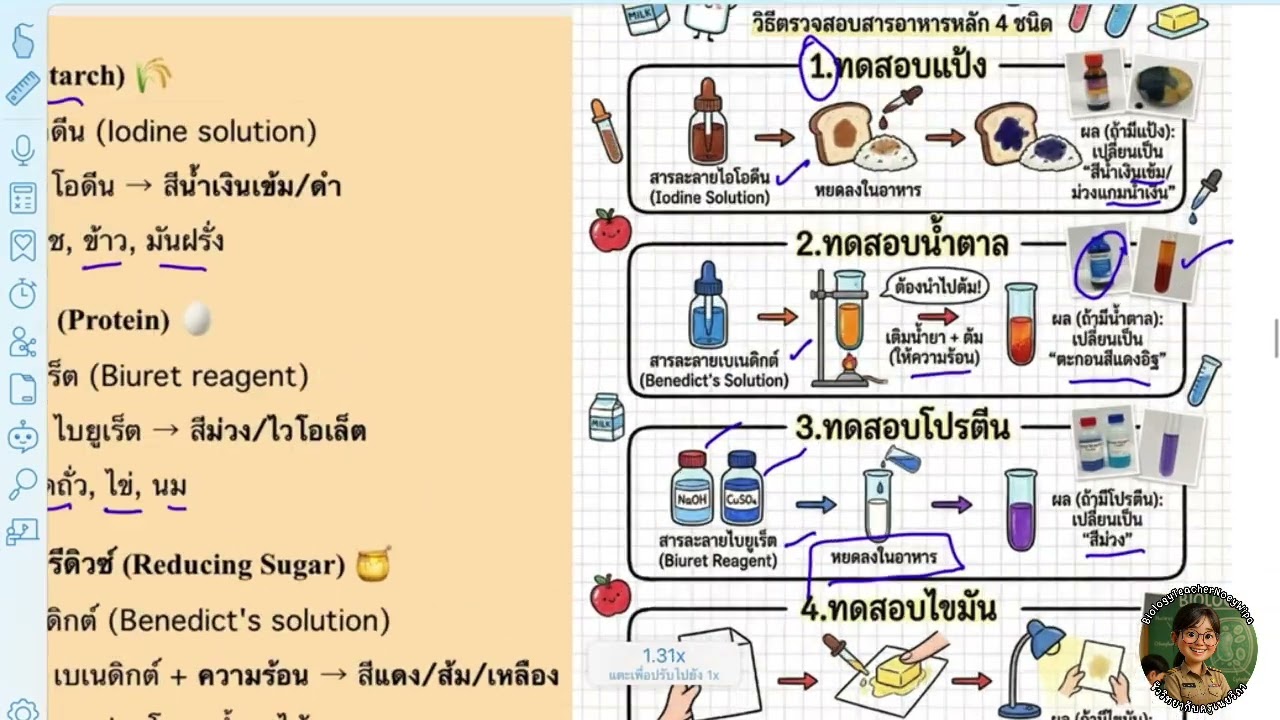 เฉลยข้อ 7/10 (หัวข้อ 3 การดำรงชีวิตของพืช)