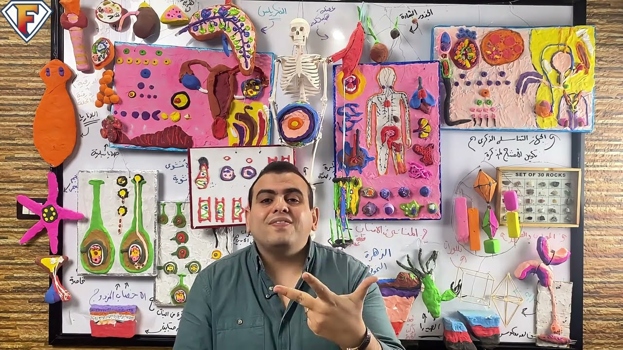 ٣ نصائح هايخلوك تقفل و تلم كل حاجة فى ثانوية عامة حتى لو لسة مبدأتش ♥️😉