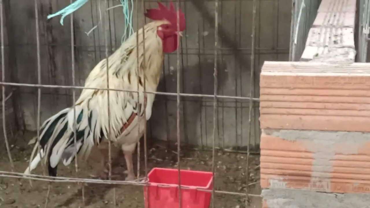 091877 oai 5934 ngày 6 tháng 2 năm 2o26