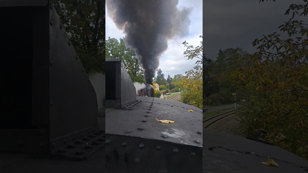 🇨🇿 Parn&iacute; lokomotiva Čtyřkol&aacute;k 434.2186 podzim #vlaky #vlak #train #steam #video #shorts #history #cz