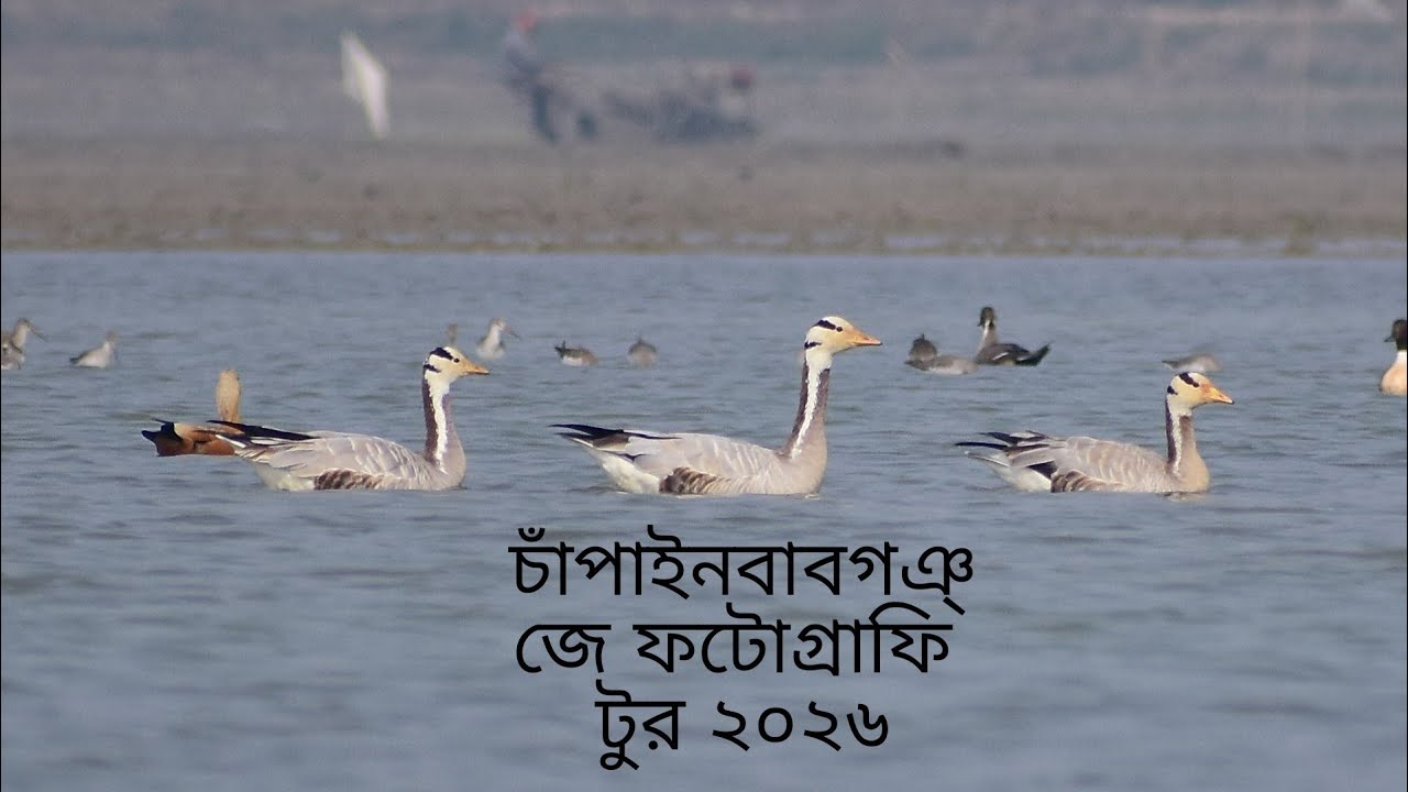 চাপাইনবয়াবগঞ্জ বার্ড ফটোগ্রাফি টুর জানুয়ারি, ২০২৬সাল