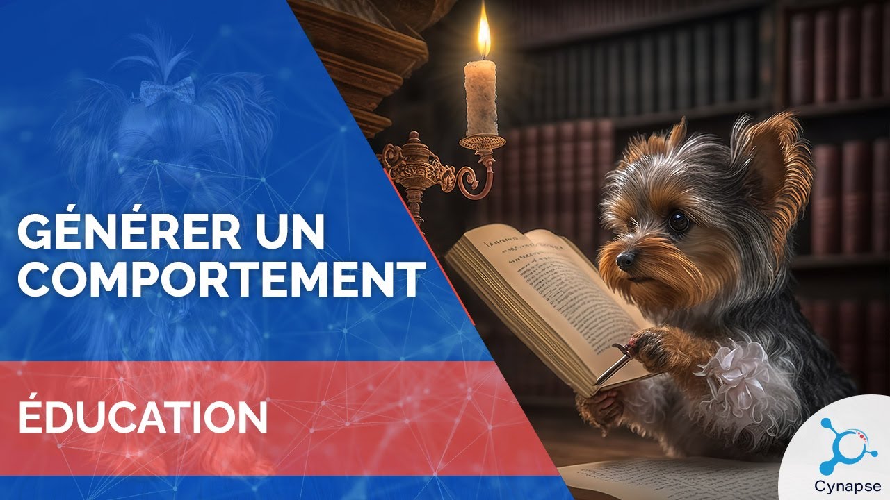 Générer un comportement sur votre chien - ÉDUCATION