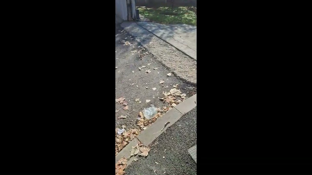 La începutul video-ului vedeți de ce se întâmplă cele ce urmează mai apoi. #simțicivic