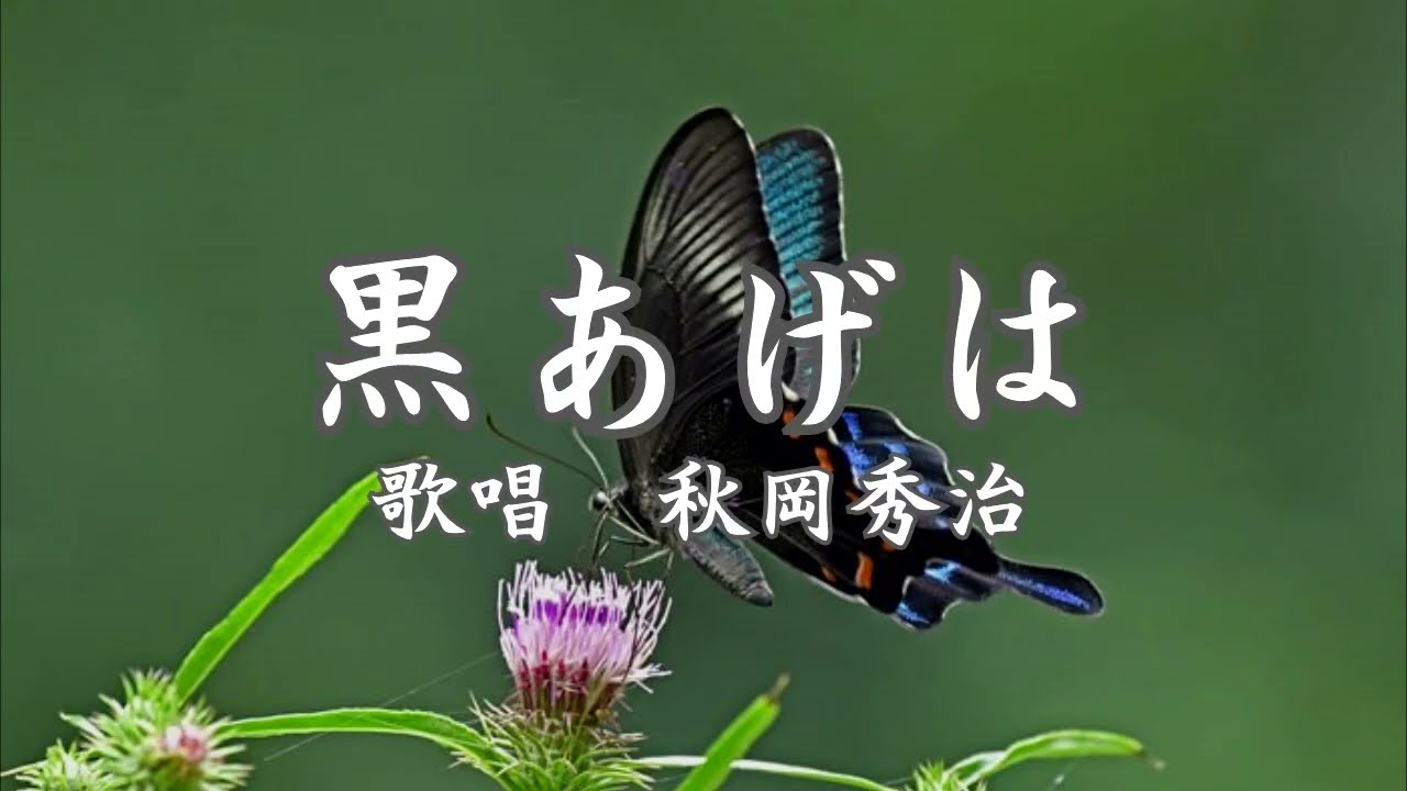 黒あげは　秋岡秀治さんの歌唱です