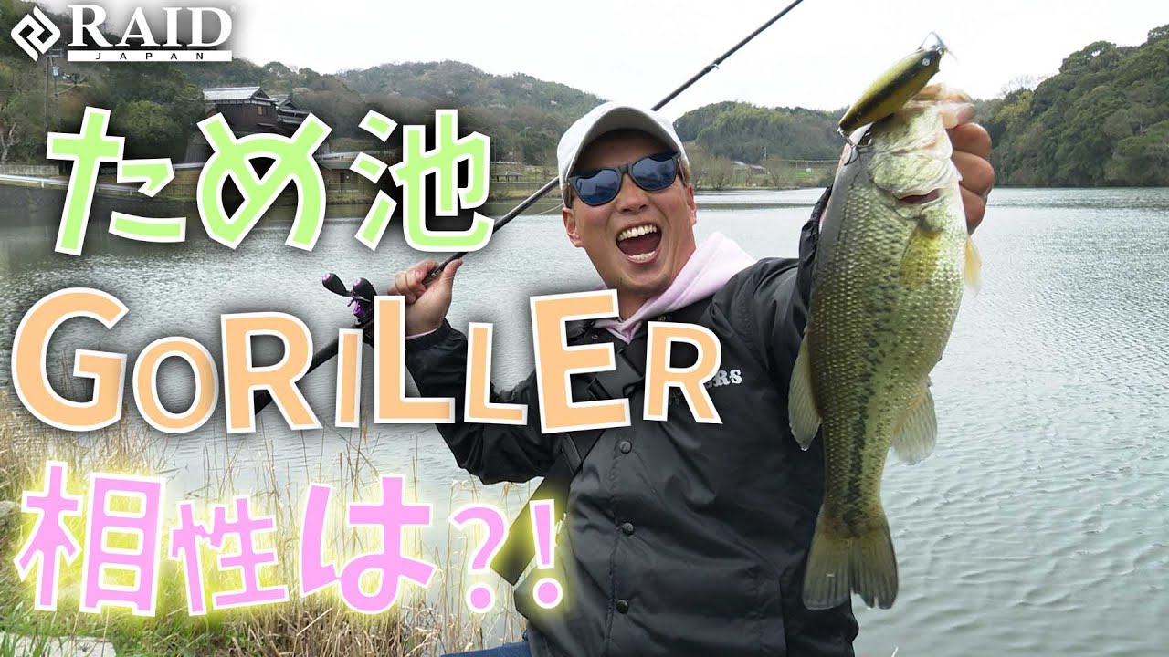 ため池×GORILLER相性は?![RAIDJAPAN]