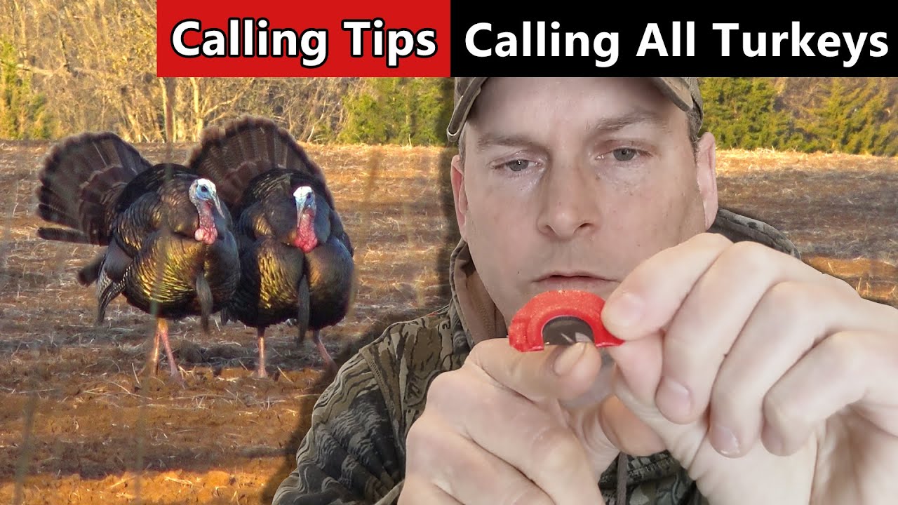 8 Turkey Calling Tips In 8 Minutes! - Calling All Turkeys