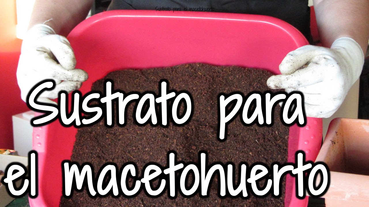 Sustrato para el macetohuerto: Mezcla de fibra de coco y humus de lombriz