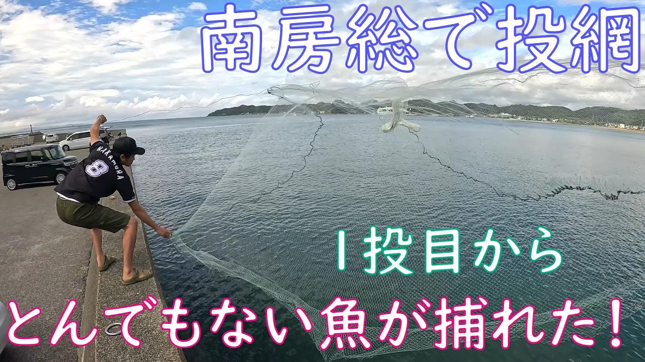 【投網】友人と千葉県の南房総へ投網を打ちに行ったら1投目からとんでもない魚が捕れた！【夏の海】