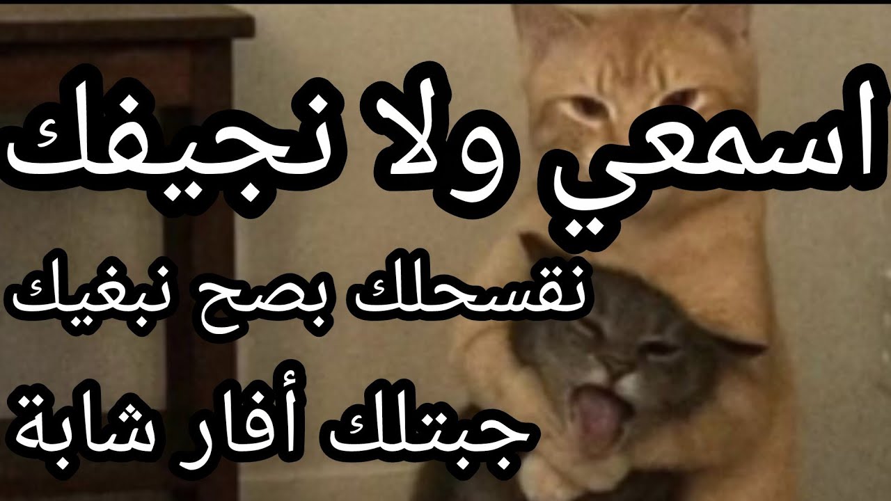 #التقساح😡 المشكل لأغلبيتكم تعانو منه🫠