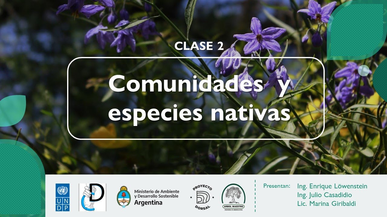 Comunidades y especies vegetales nativas de Buenos Aires 🍃
