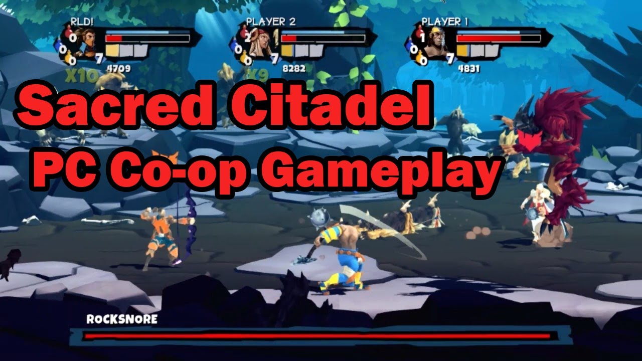 Sacred Citadel | PC | Multiplayer Co-op Gameplay