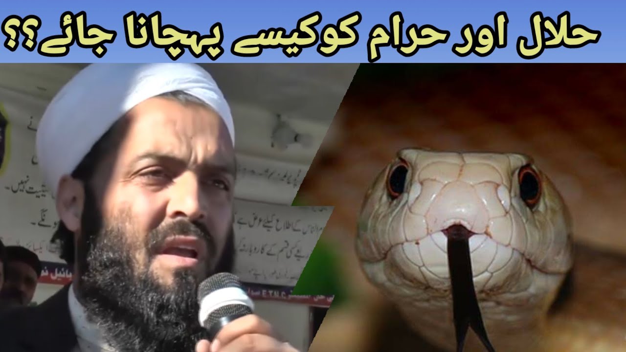 Mufti AsadUllah ka halal aur Haram key hawaly say bayan.. WaheedUllah Khan