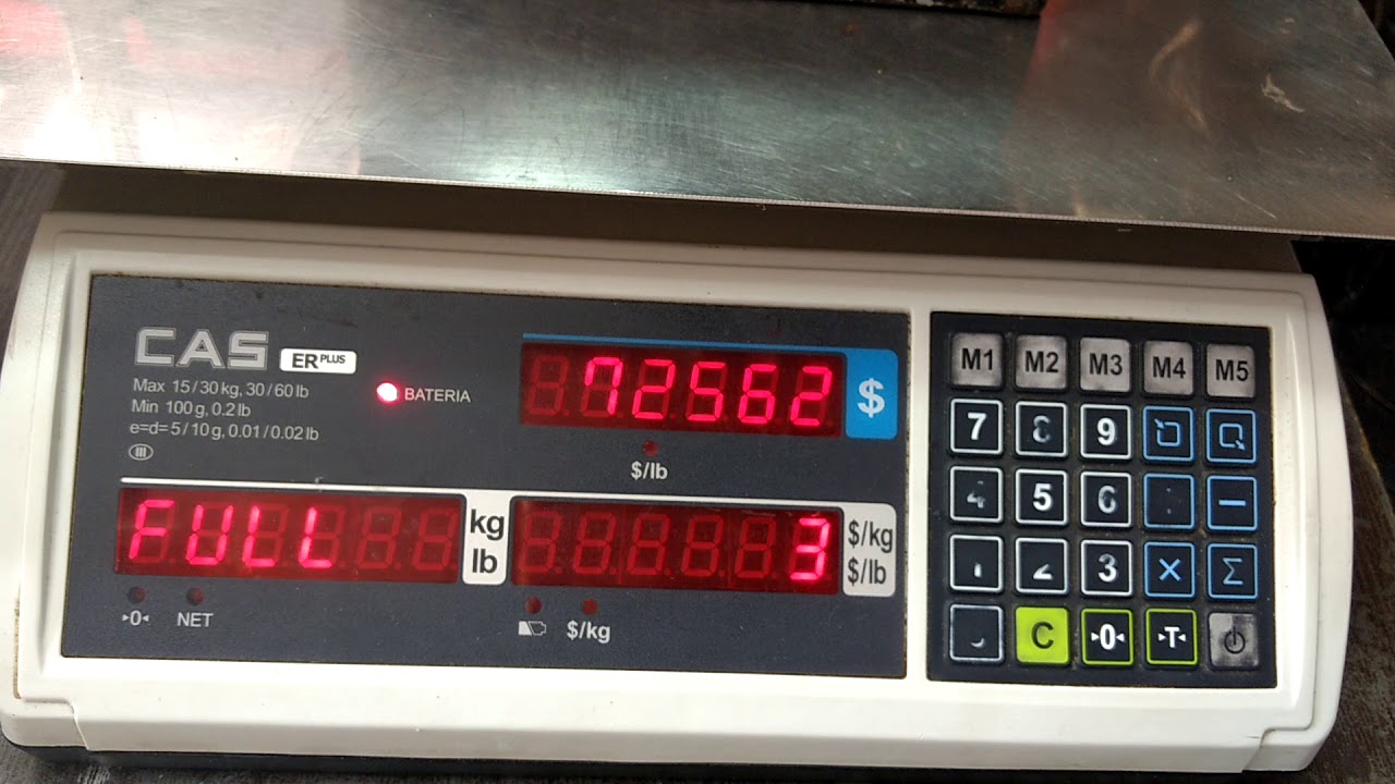 Ajuste de peso báscula (calibración) CAS modelo ER plus, capacidad, división