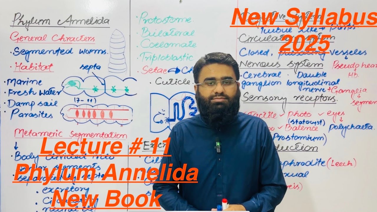 Phylum Annelida | Class 11 Biology | PTB New Syllabus 2025 | New Book 