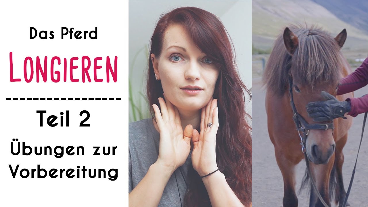 Pferd Longieren | Teil 2: Übungen zur Vorbereitung an der Hand