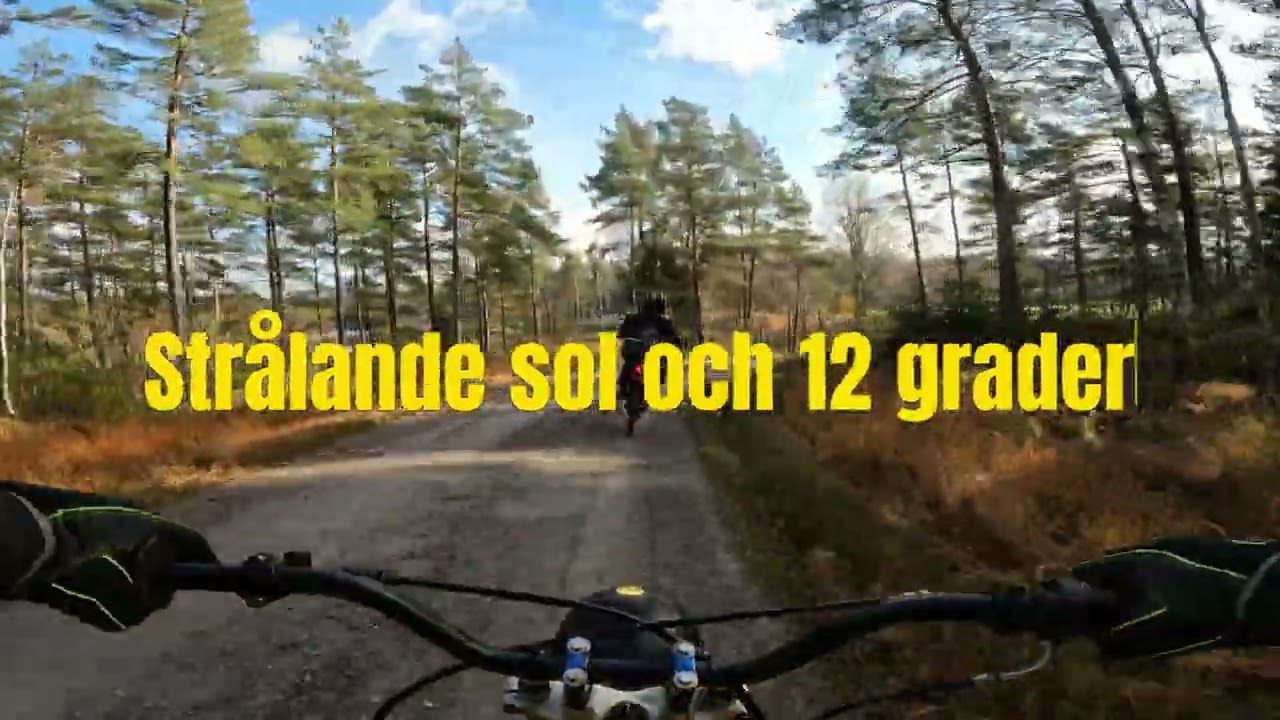 MoppeTur i Bullarn med korvgrillning 26/10-2024 (4K)