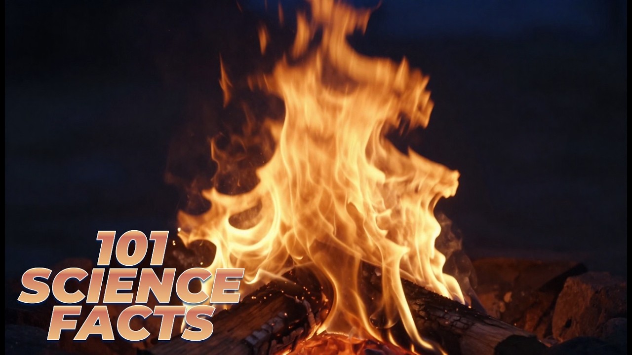 What happens to the colors of fire when it burns different materials? —Facts About Fire Before Sleep