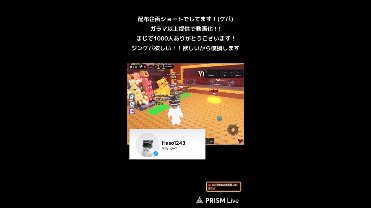勉強andちょこっと配信