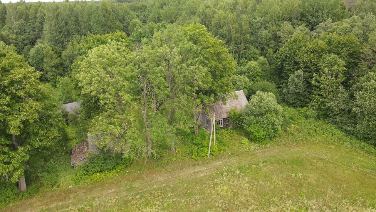 Savičiūnų vienkiemis