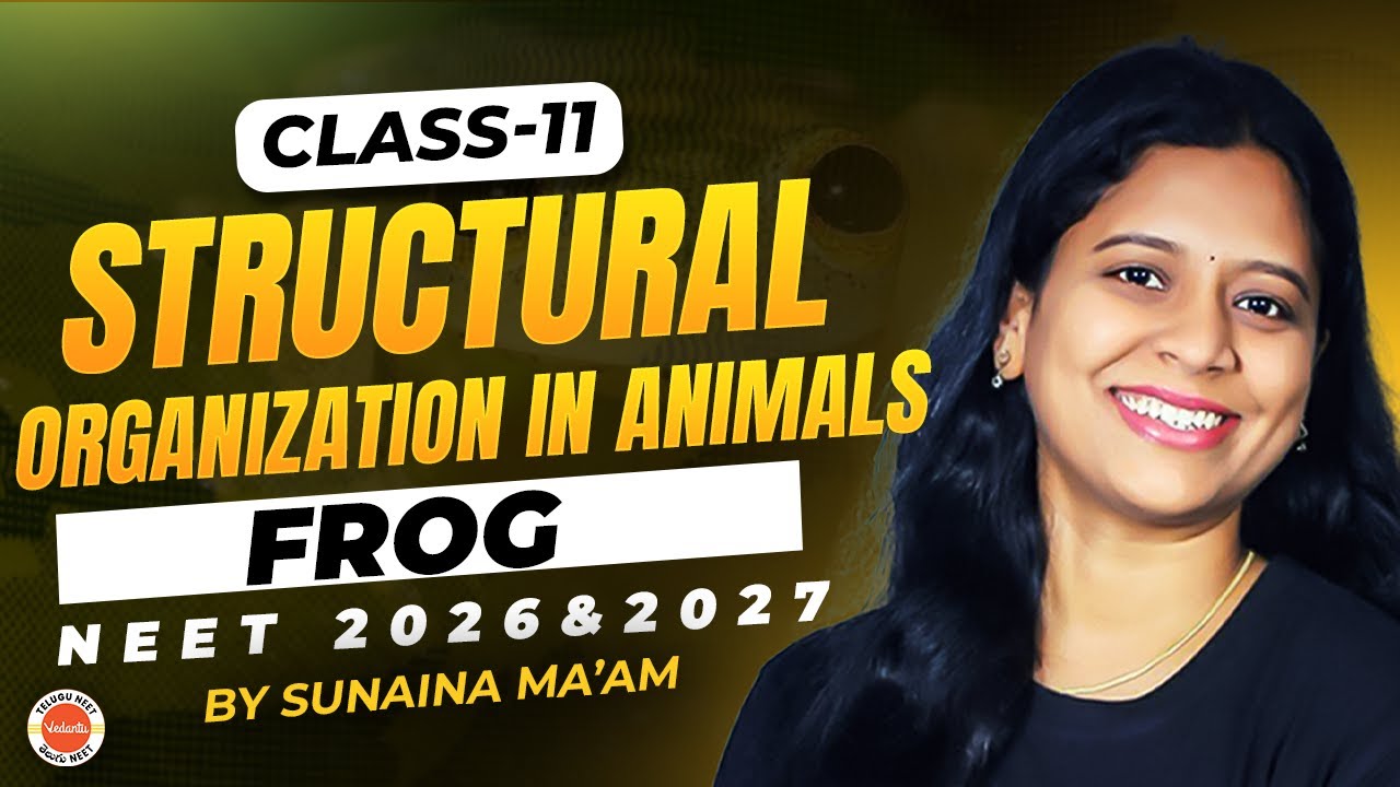 Structural Organization in Animals | FROG | Class 11| NEET 2026-2027 |Sunaina Ma'am