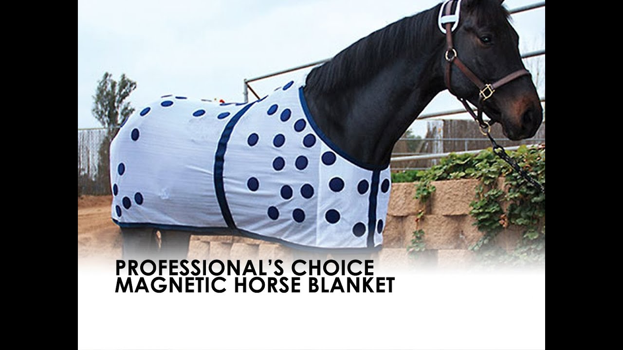 Professional's Choice Magnetic Horse Blanket Sheet