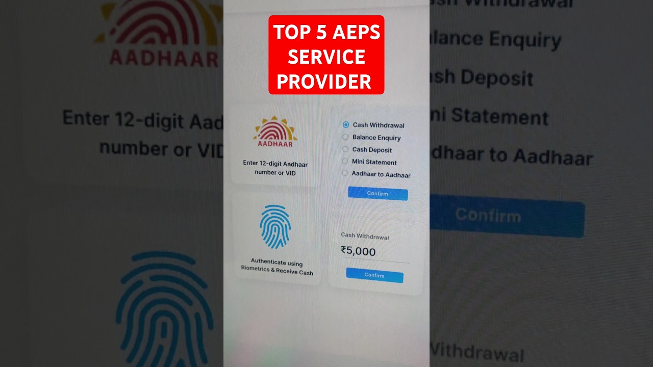 Top 5 aeps service provider | top 5 aeps company | best aeps id 