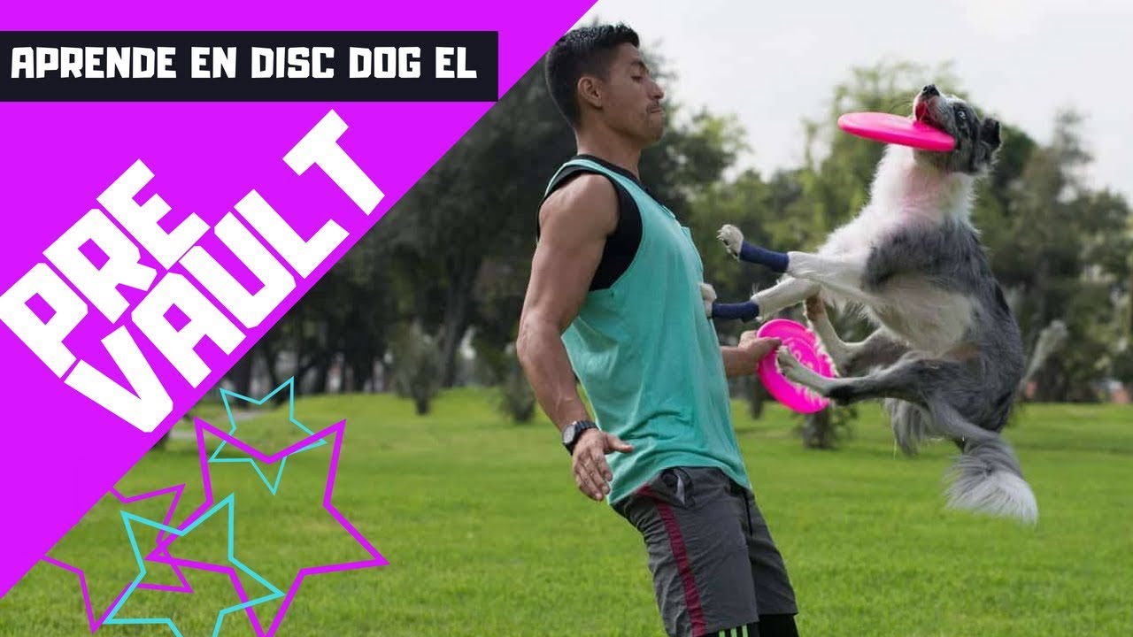 ENSÉÑALE A TU PERRO A SALTAR SOBRE TU CUERPO Y CAPTURAR EL FRISBEE