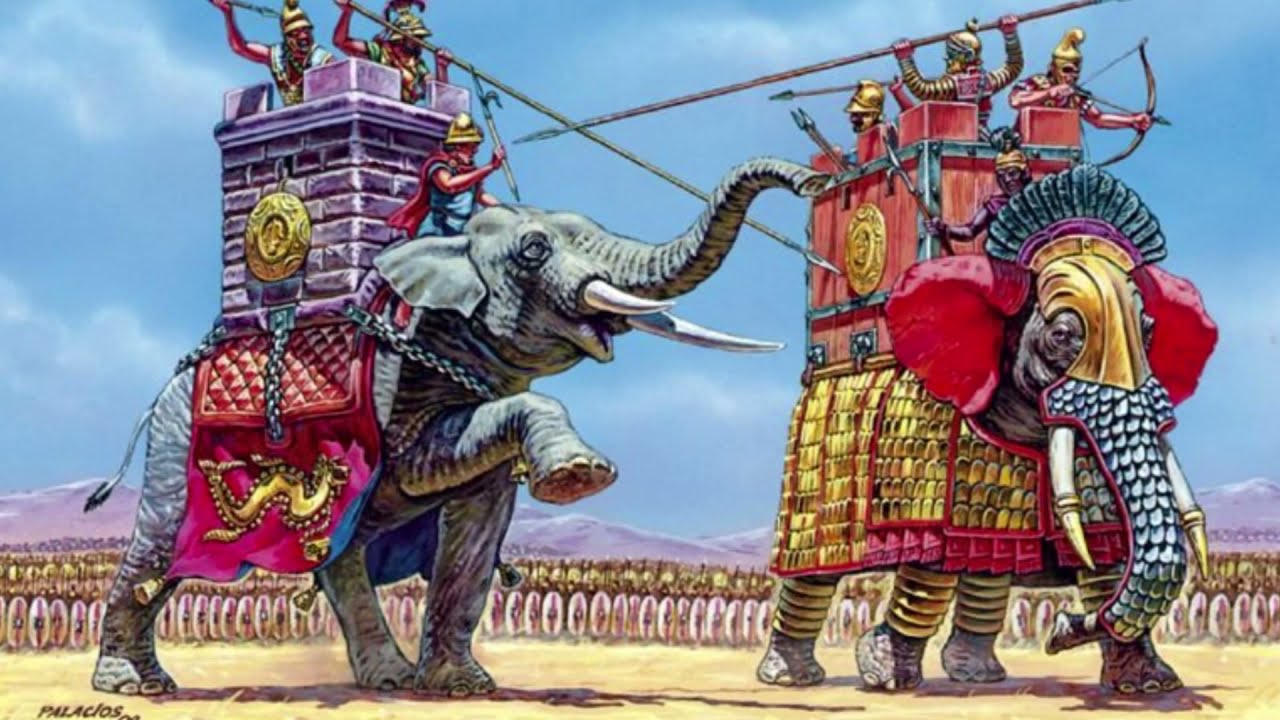 Jak wykorzystywano słonie do walki?