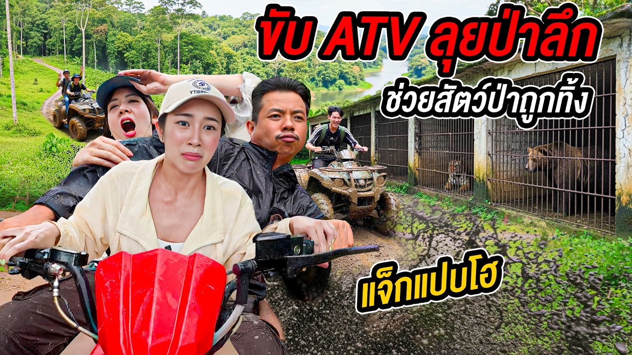 ภารกิจโหดกลางป่าลึก! ลุยเส้นทางสุดโหดกับ “แจ็ก แปปโฮ” ช่วยสัตว์ป่าถูกทิ้ง - นครนายก @JACKPAPHO