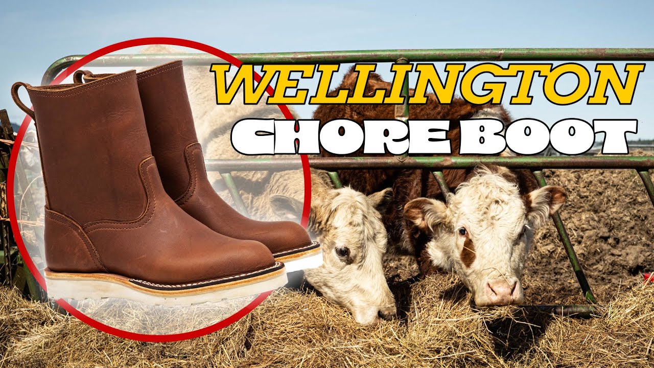 NEW BOOT! How would you use your Chore Boot??