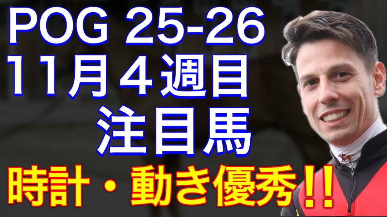 【POG/25&minus;26】11月4週目デビューの注目新馬を紹介【時計・動きともに優秀‼️スカイスプレンダーに注目！】