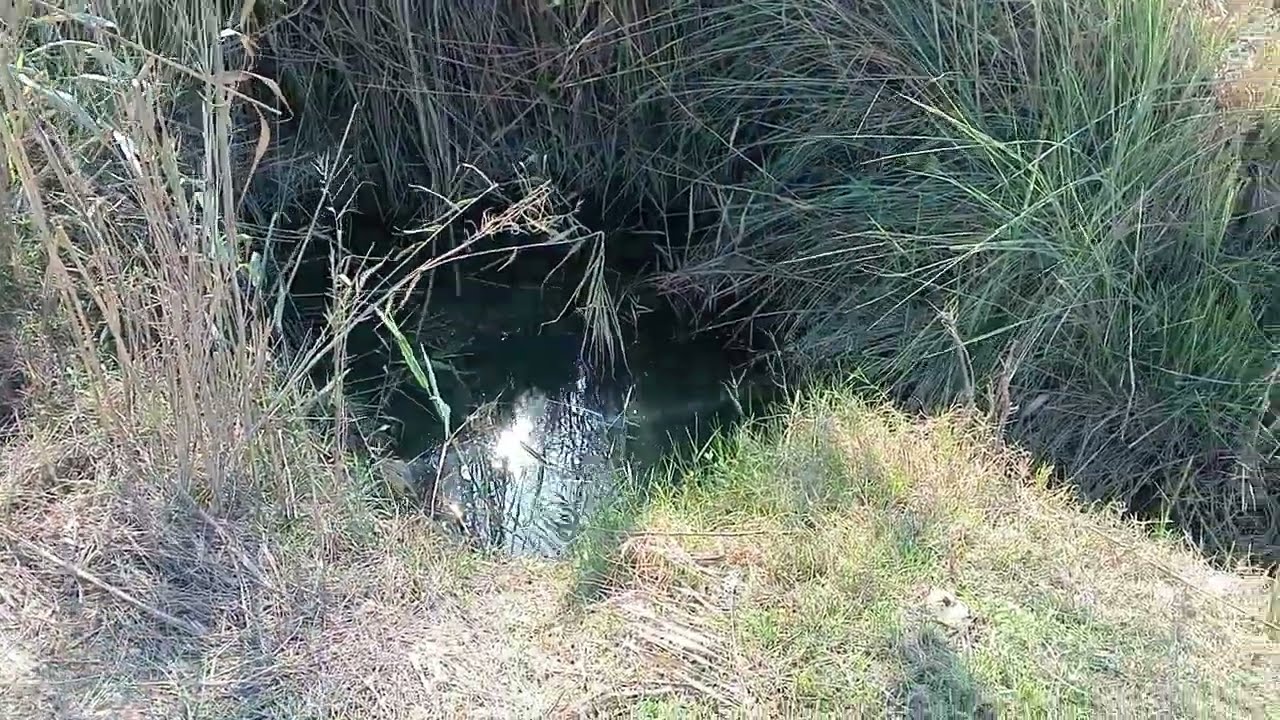 3 فدان و14 قراط أرض زراعية مسجلة للبيع للتواصل محمود للتسويق العقاري 01010150636