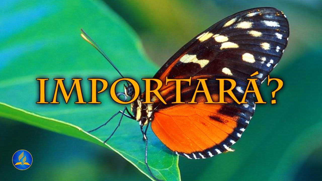 Hinário Adventista 383 - IMPORTARÁ?