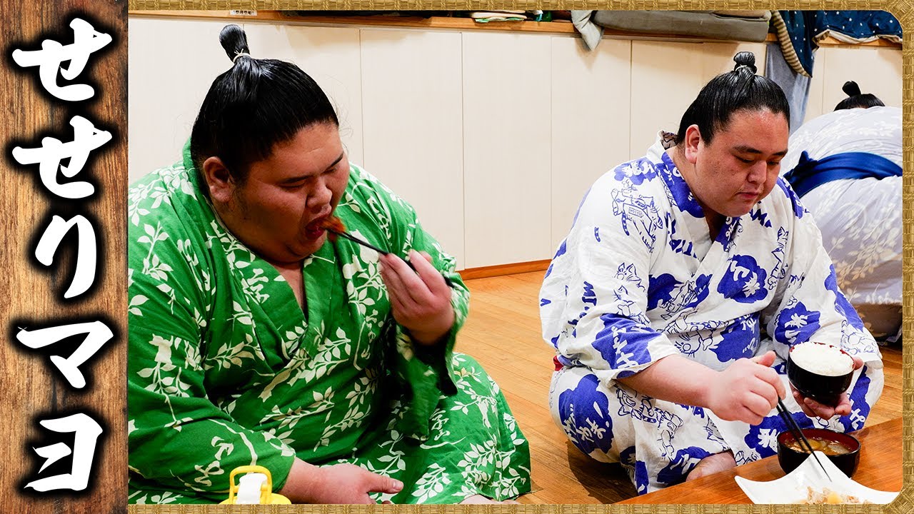 【相撲飯】未経験入門のちゃんこ番 ／ せせりマヨ・肉じゃが・醤油鍋 ／ 🍚『ちゃんこ番：颯雅・月岡・菊池』