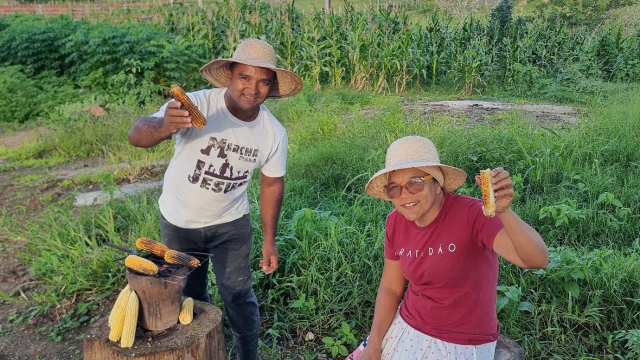 COLHENDO E ASSANDO MILHO NA ROÇA DO SÍTIO DO ZERO RECANTO EBENÉZER