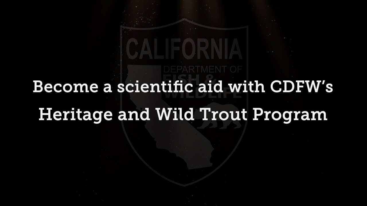 Get a Job as a Scientific Aide with CDFW's Heritage and Wild Trout Program!