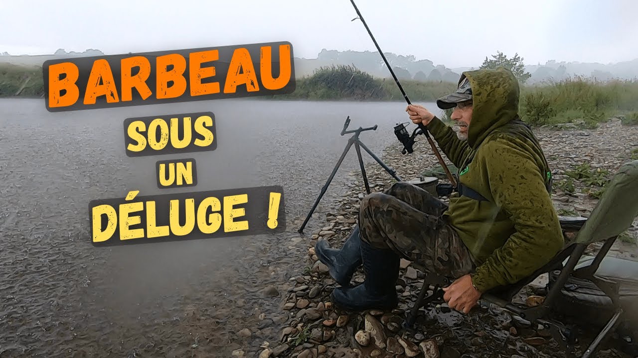 Réaction incroyable du Barbeau lors d'un déluge !