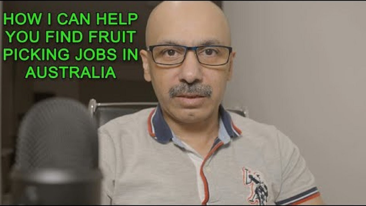 How To Find Fruit Picking Jobs In Australia #fruitpickingjobs #australia #fruitpickingjobsAustralia