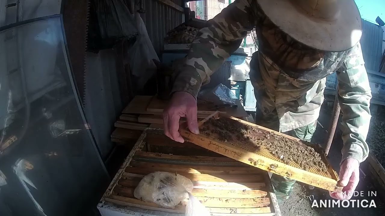 Весенние работы на пасеке