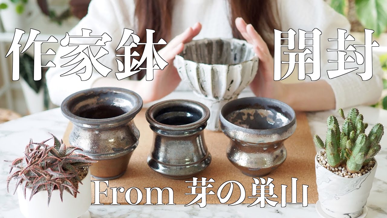 カッコいい鉢が届いたので開封します｜芽の巣山｜作家鉢｜伝市鉢