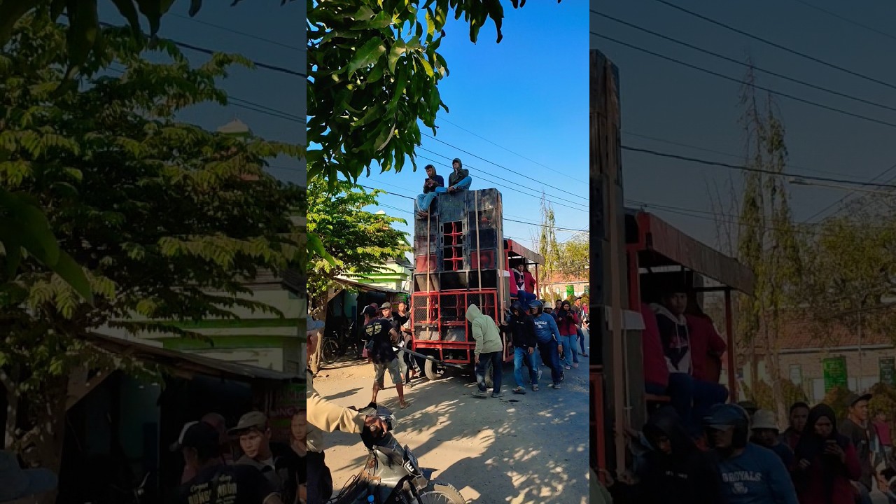 Bunga Nada Lanang kobra burok bunga nada #prapag #telek