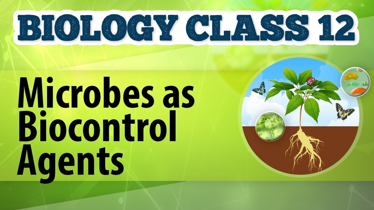 MICROBES AS BIOCONTROL AGENT