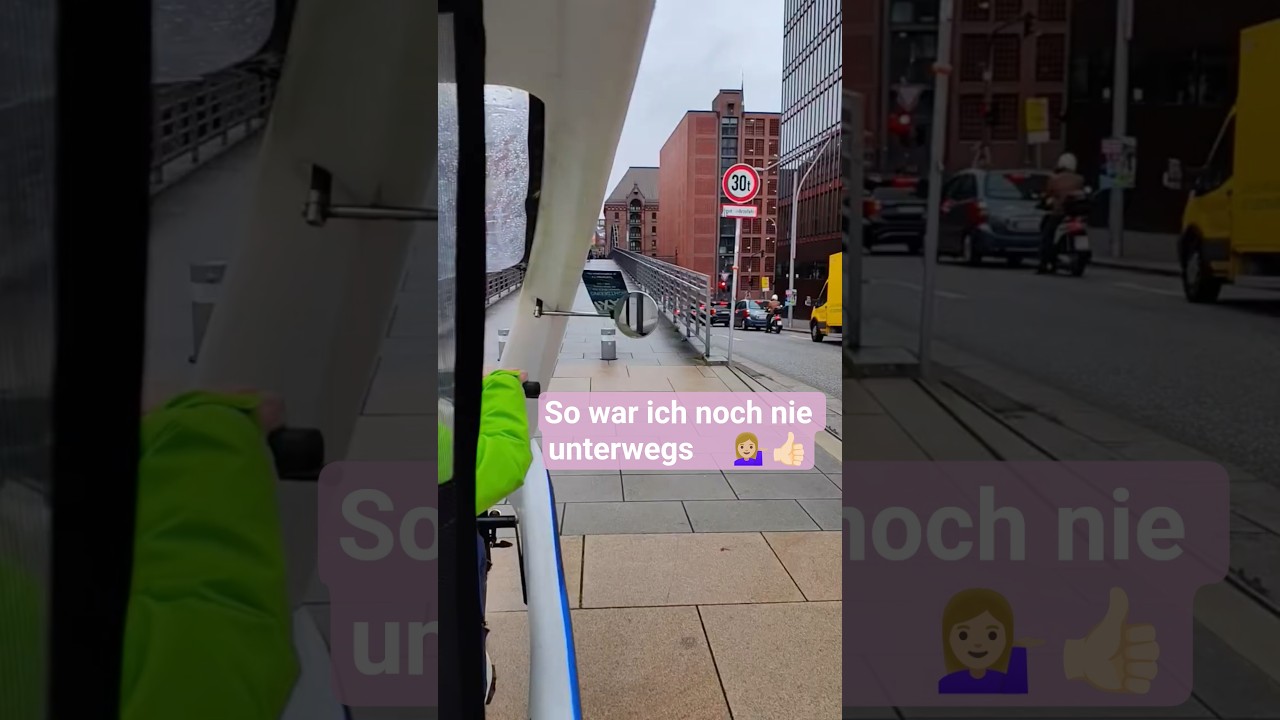 Hamburg Rikscha Tour