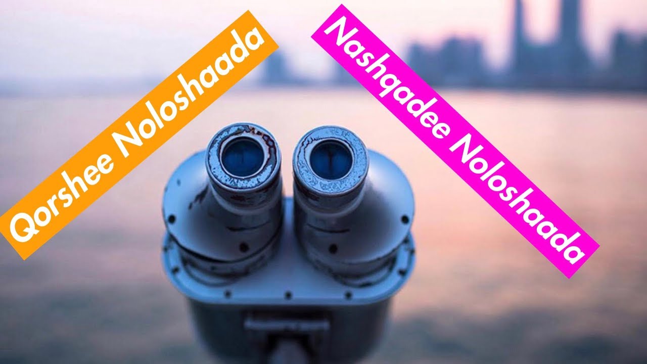 Sidee Noloshayda u Qorsheeyaa?  | Mubarak Hadi