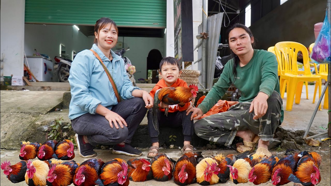 Harvesting, wild chickens sold at the market, growing vegetables, farm life