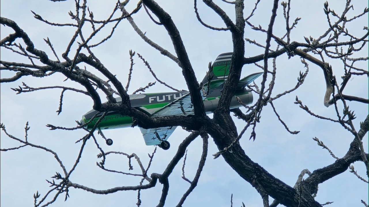  live! Futura 64mm stock on a tree 🌳 