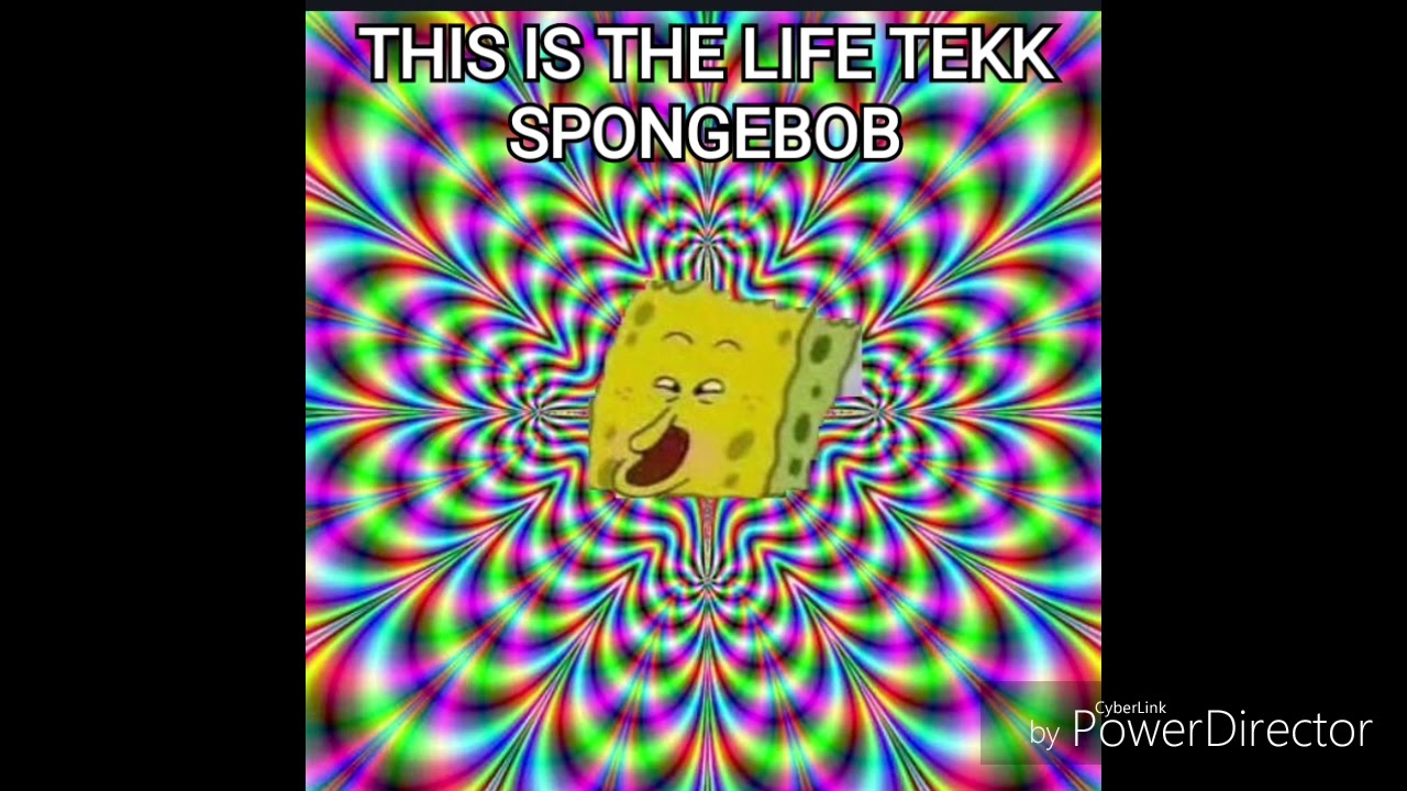 This is the life tekk | Spongebob