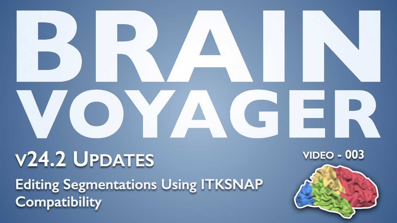 BrainVoyager Updates - v24.2 - ITKSNAP compatibility